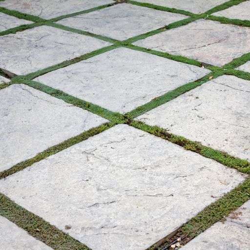 Concrete Pavers