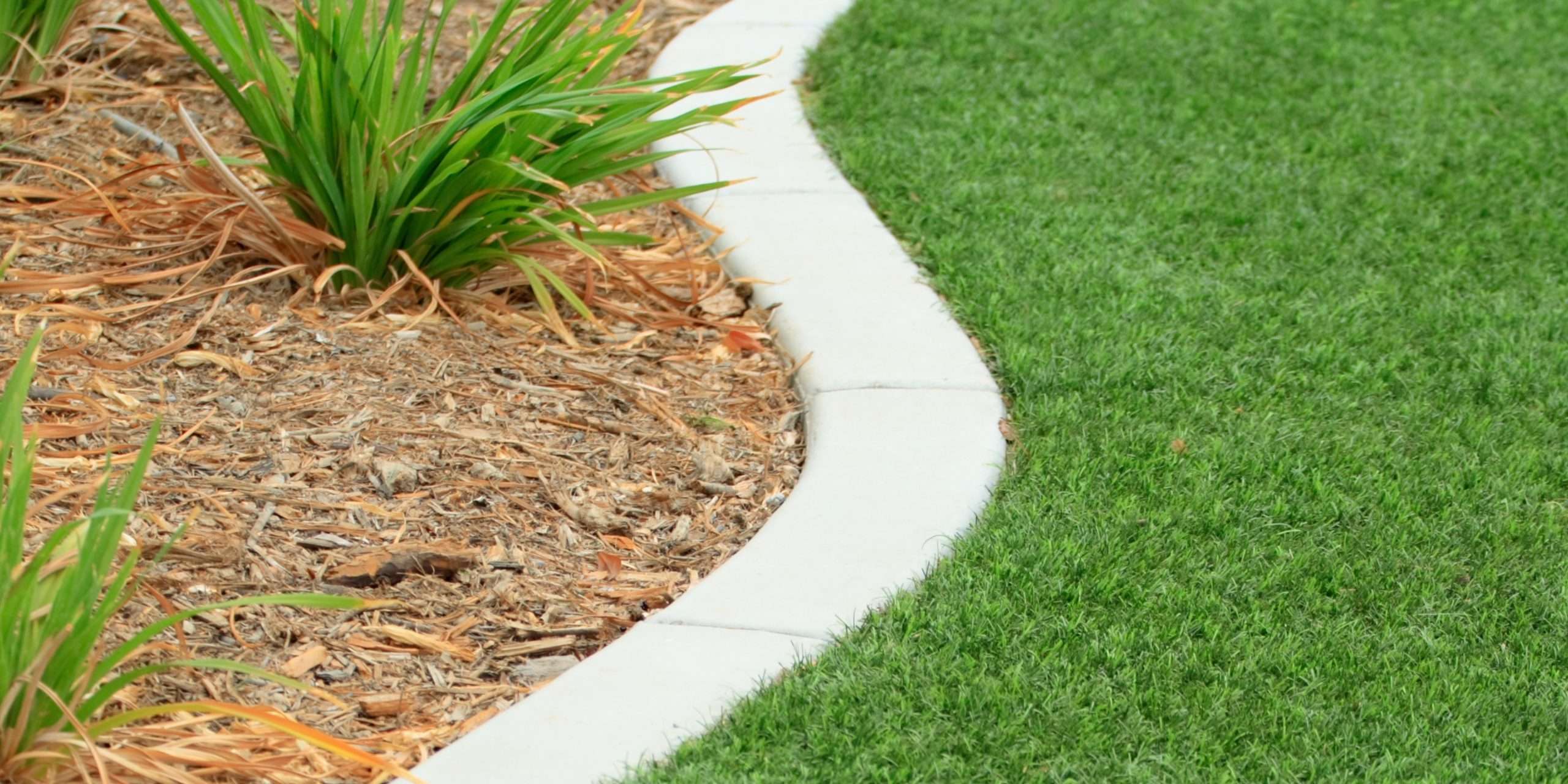 6 Amazing Edging Stone Options for Your Landscaping: Adding Style and Definition