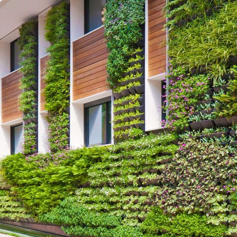 Growing in New Directions Living Walls & Vertical Gardens