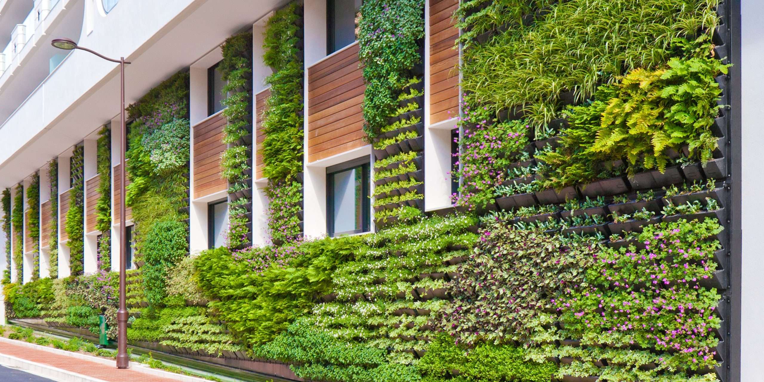 Growing in New Directions: Living Walls & Vertical Gardens