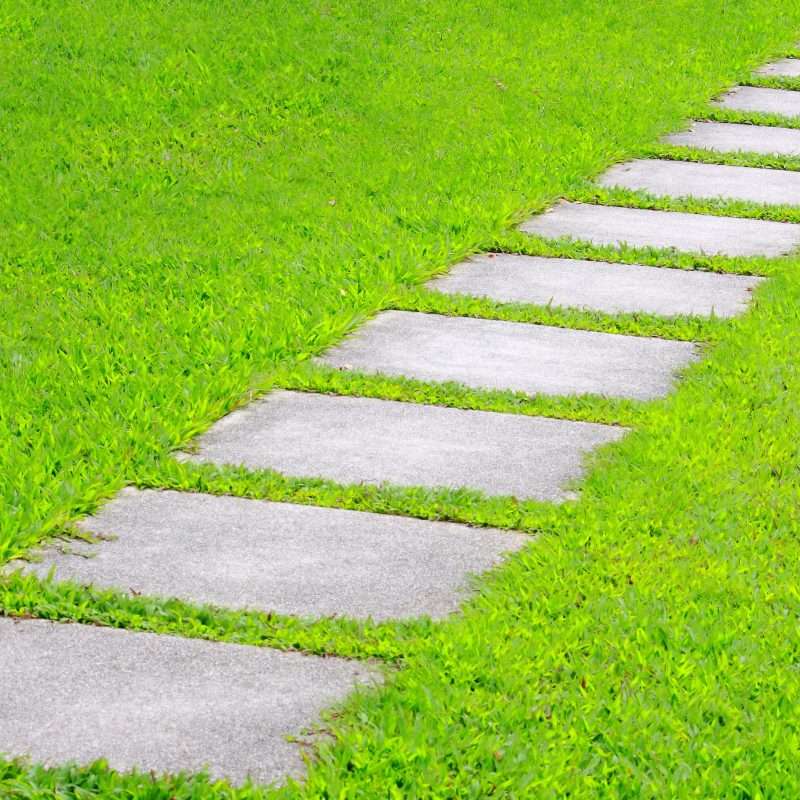 Different Types of Pathways Used in Backyards