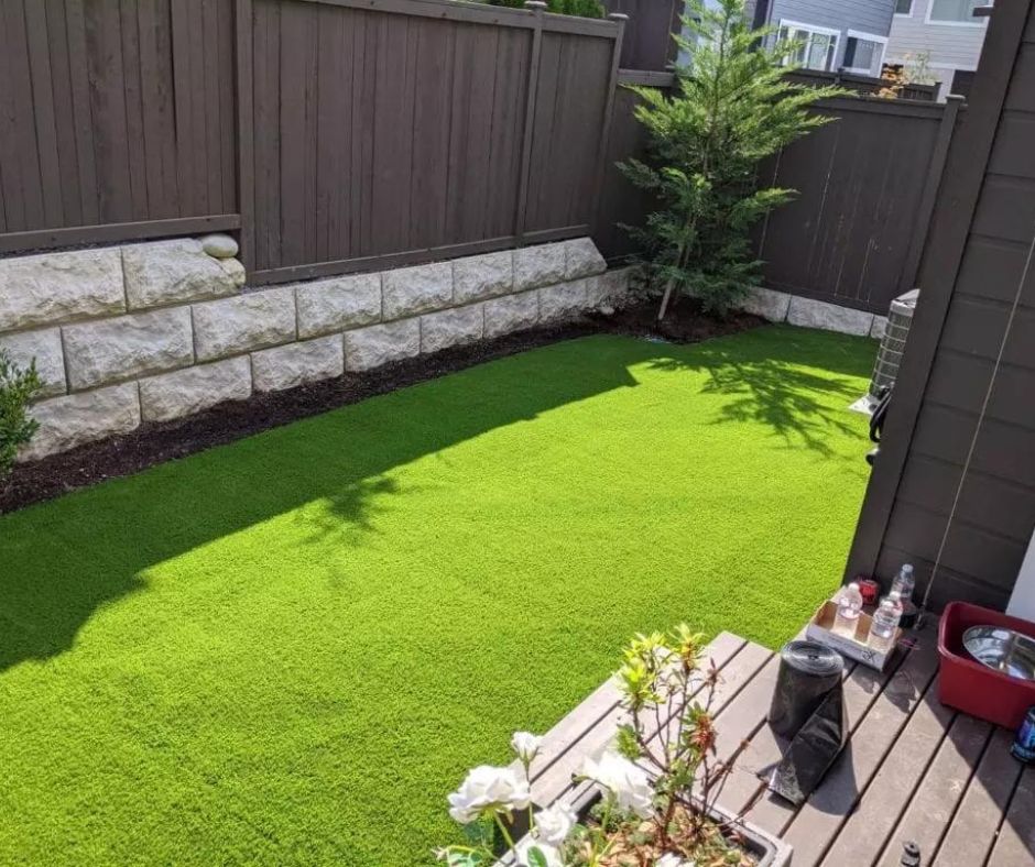 artificial-turf-installation-in-king-city