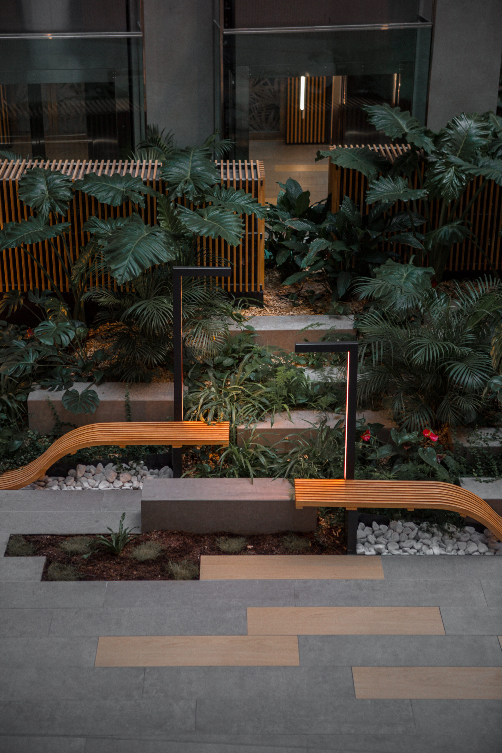 brown wooden bench near green palm tree